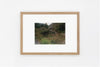 Goto IMAGE 2