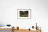 Goto IMAGE 5