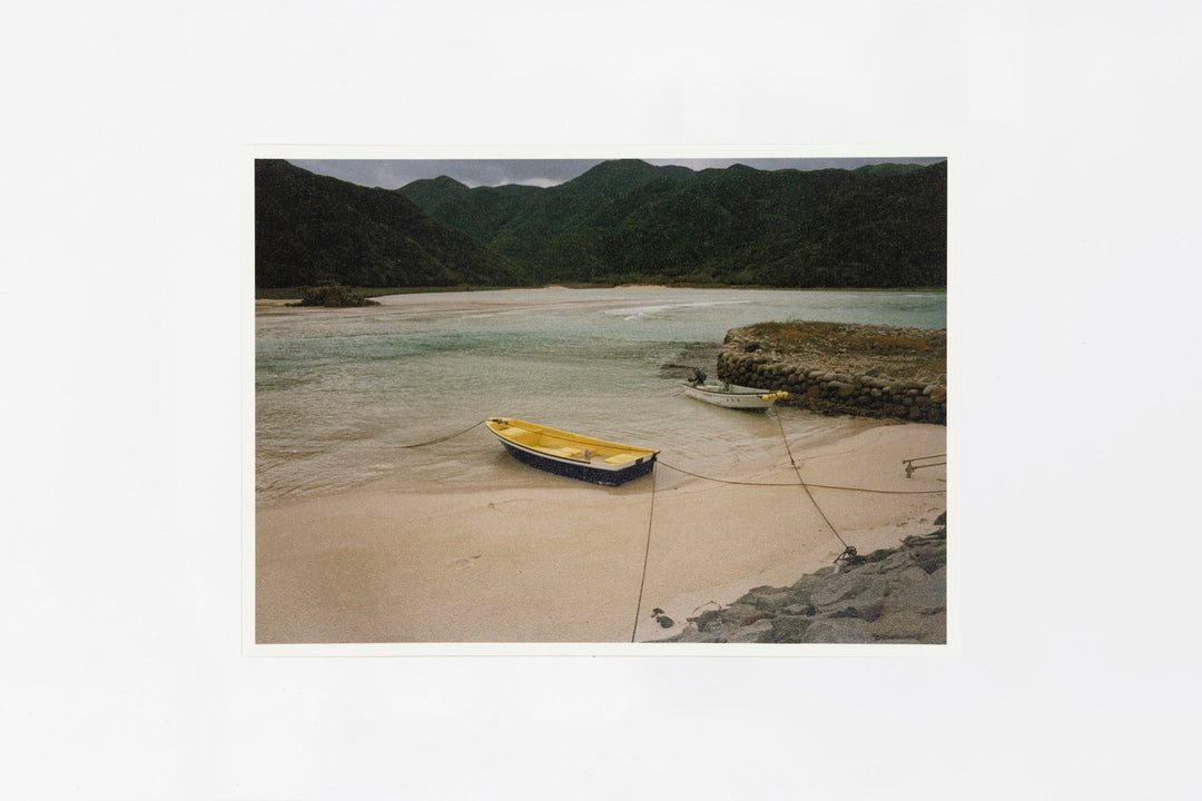 Goto IMAGE 1