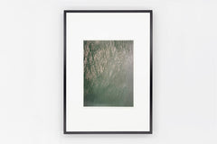 Goto IMAGE 3