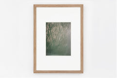 Goto IMAGE 2