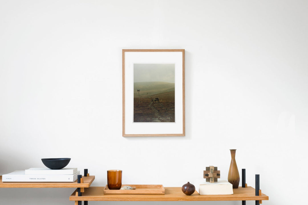 Servvejávrrie IMAGE 5