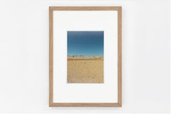 Bighorn Plateau IMAGE 2