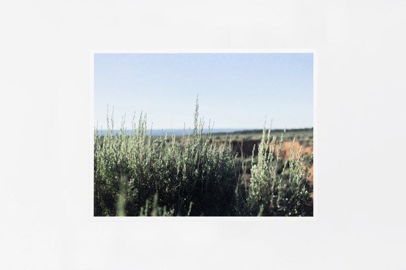 Kanab