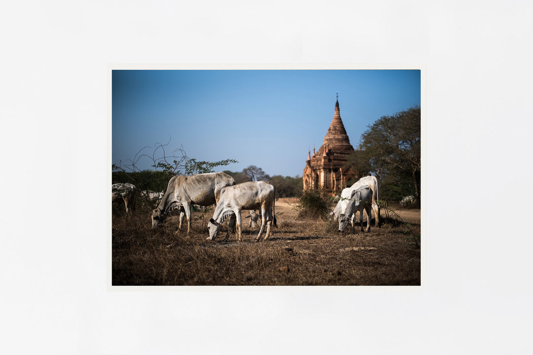 Bagan IMAGE 1