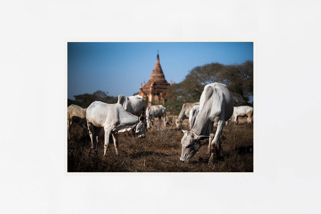 Bagan IMAGE 1