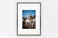 Bagan IMAGE 2