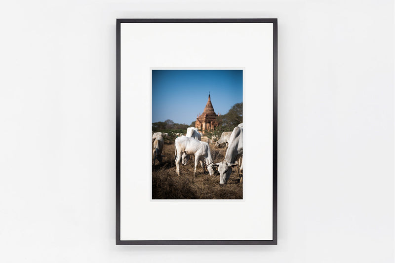 Bagan