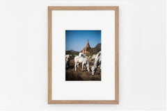 Bagan IMAGE 1
