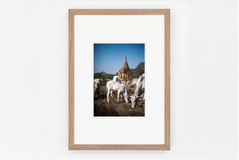 Bagan