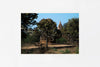 Bagan IMAGE 1