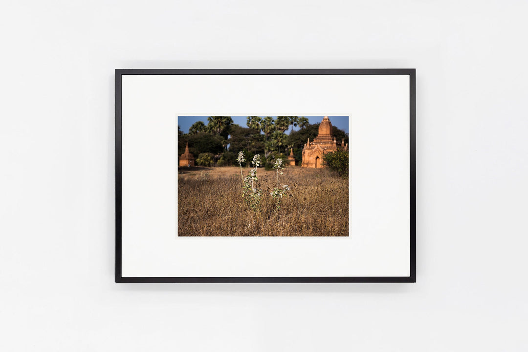 Bagan IMAGE 3