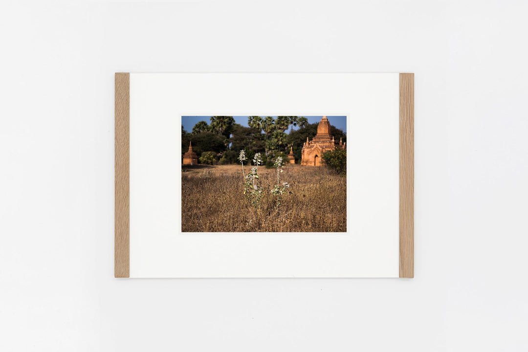 Bagan IMAGE 4