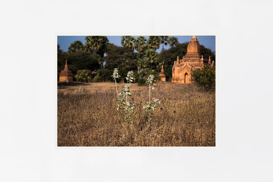 Bagan IMAGE 1
