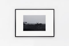 Notsuke Peninsula IMAGE 3