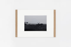 Notsuke Peninsula IMAGE 4