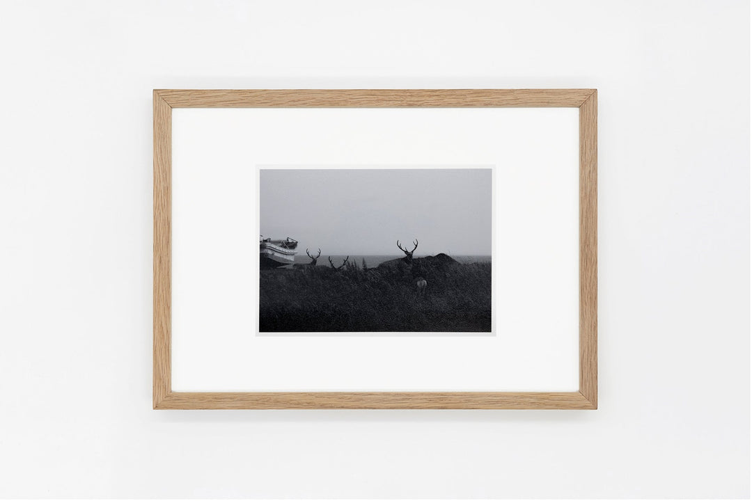 Notsuke Peninsula IMAGE 2