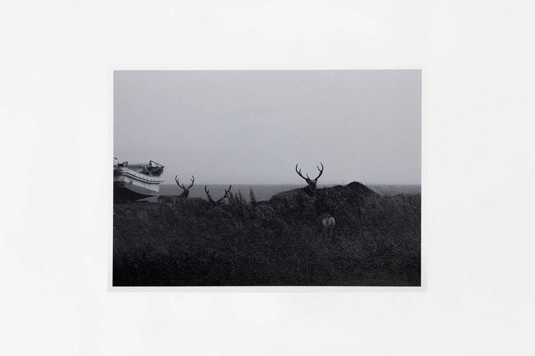 Notsuke Peninsula IMAGE 1