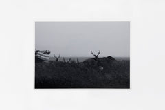 Notsuke Peninsula IMAGE 1