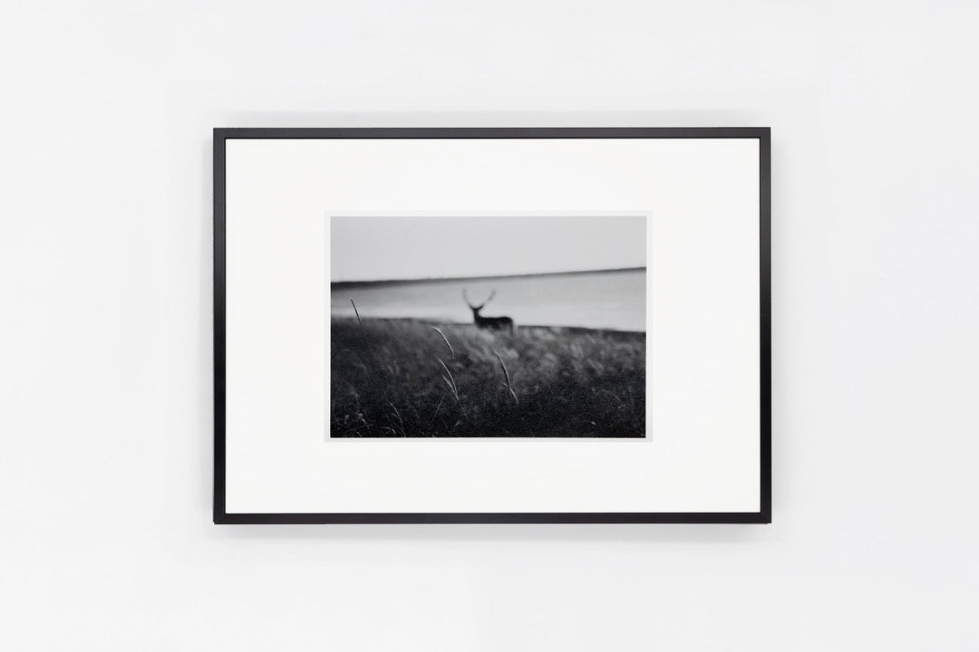 Notsuke Peninsula IMAGE 3