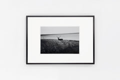 Notsuke Peninsula IMAGE 3