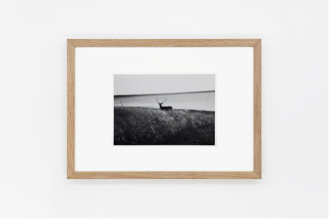 Notsuke Peninsula IMAGE 2