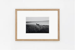 Notsuke Peninsula IMAGE 2