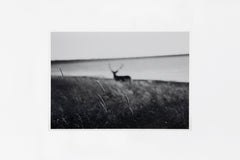 Notsuke Peninsula IMAGE 1